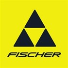 Поступление новой коллекции лыж спортивных лыж Fischer 