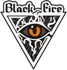 Поступление сноубордов Black Fire