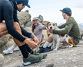 Scarpa Кроссовки Ribelle Run LT WP M 68700 - фото 131367