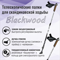 DSport Палки д/скандинавской ходьбы Blackwood 41968 - фото 131923