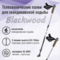 DSport Палки д/скандинавской ходьбы Blackwood 41968 - фото 131924